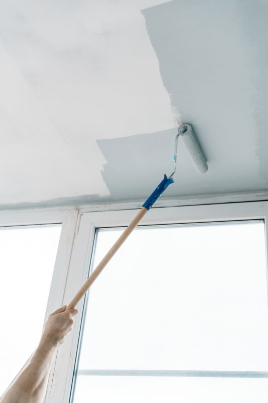 House Ceiling Painting in Wilmington, NC