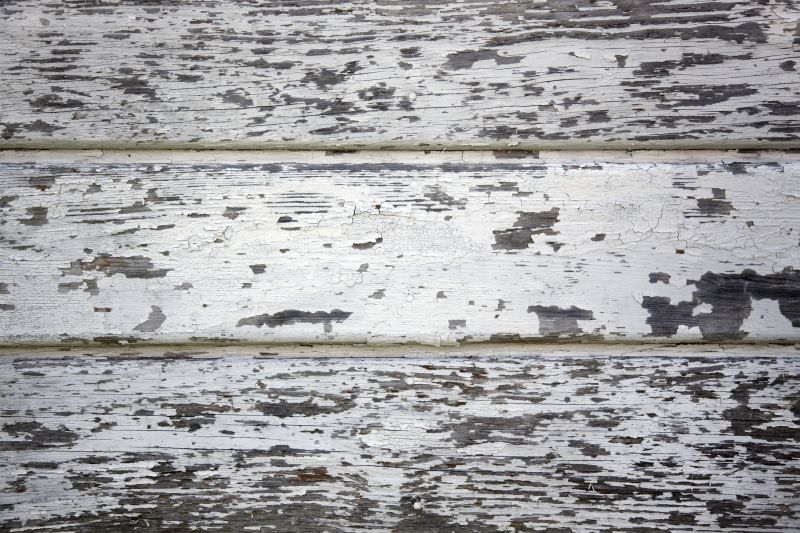 Lead Paint Removal Planning