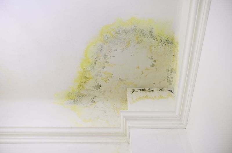 Molding Painting in Wilmington, NC